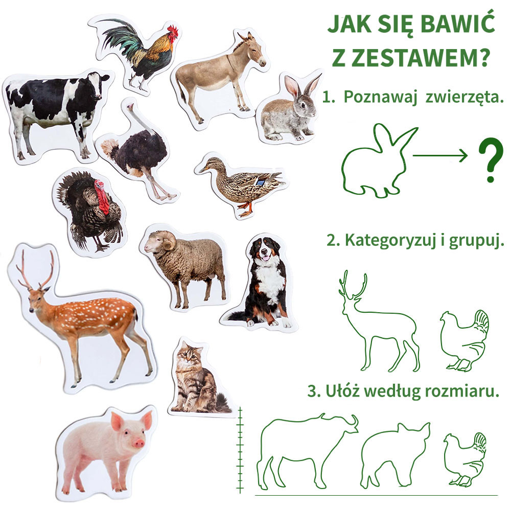 Zestaw Magnesow Farma MV 6032-04