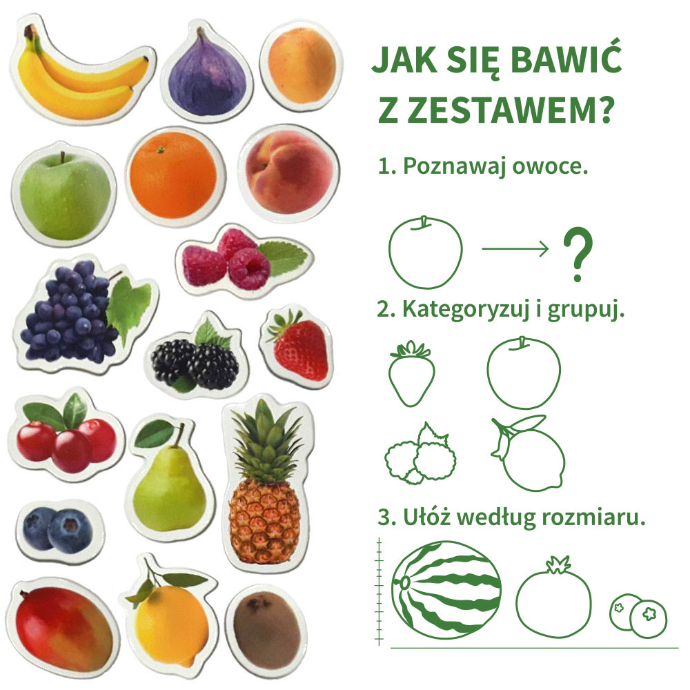 Zestaw Magnesow Owoce MV 6032-11