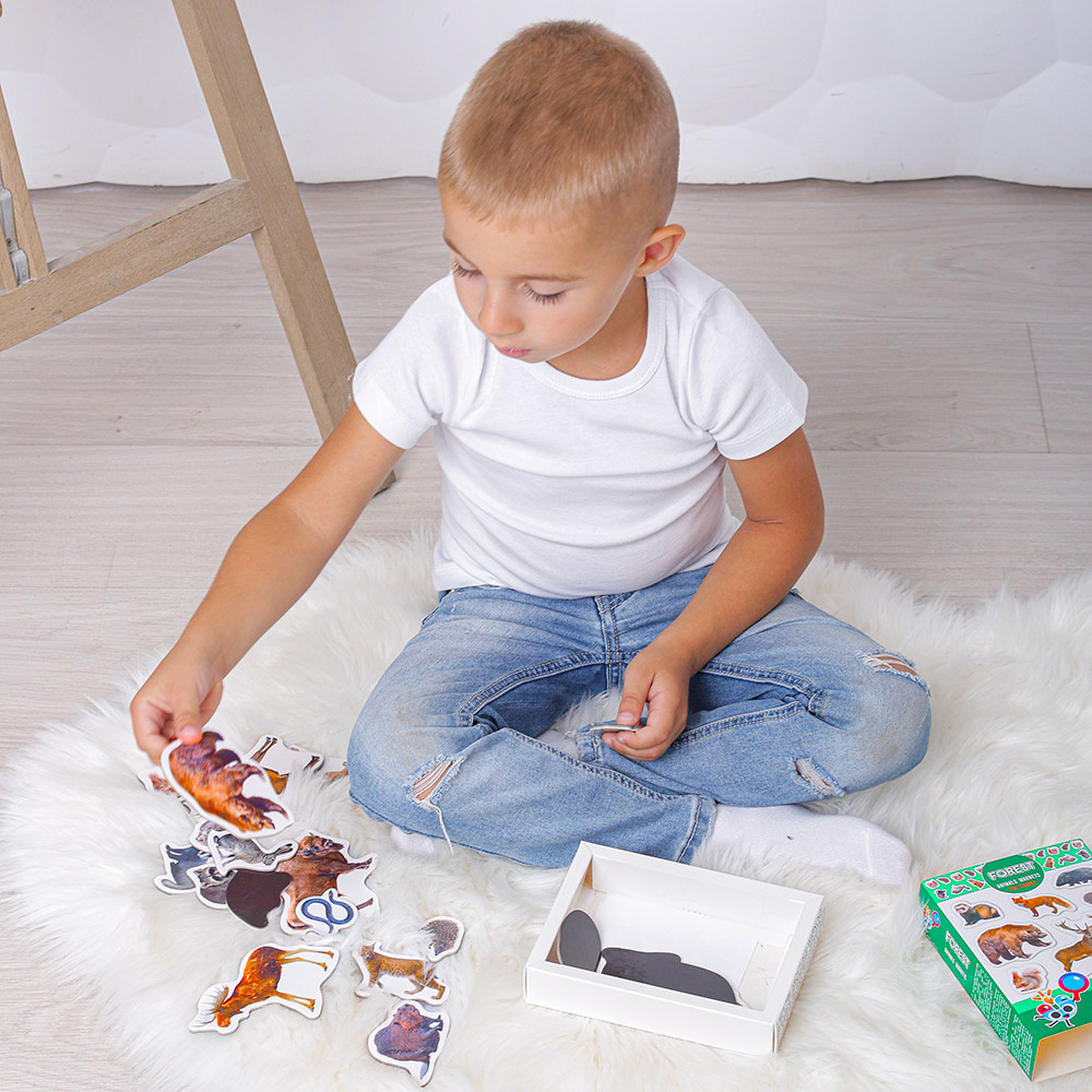 Zestaw Magnesow Owoce MV 6032-11