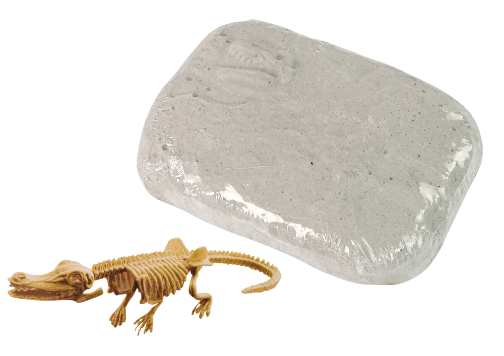 Archaeology Excavation Set Skullheaded Skeleton Dinosaur Toys