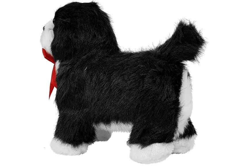 Black and White Interactive Dog Moves, Barks Toys \ Interactive pets