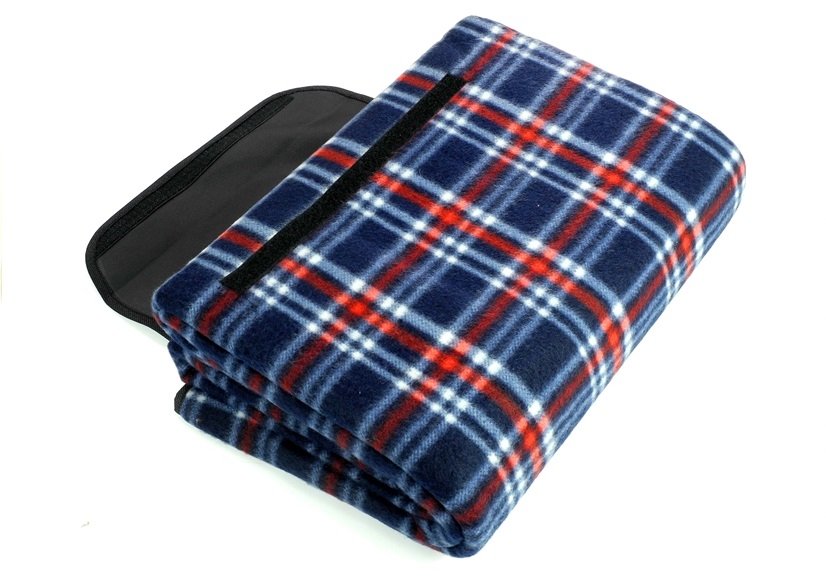 blue checkered picnic blanket