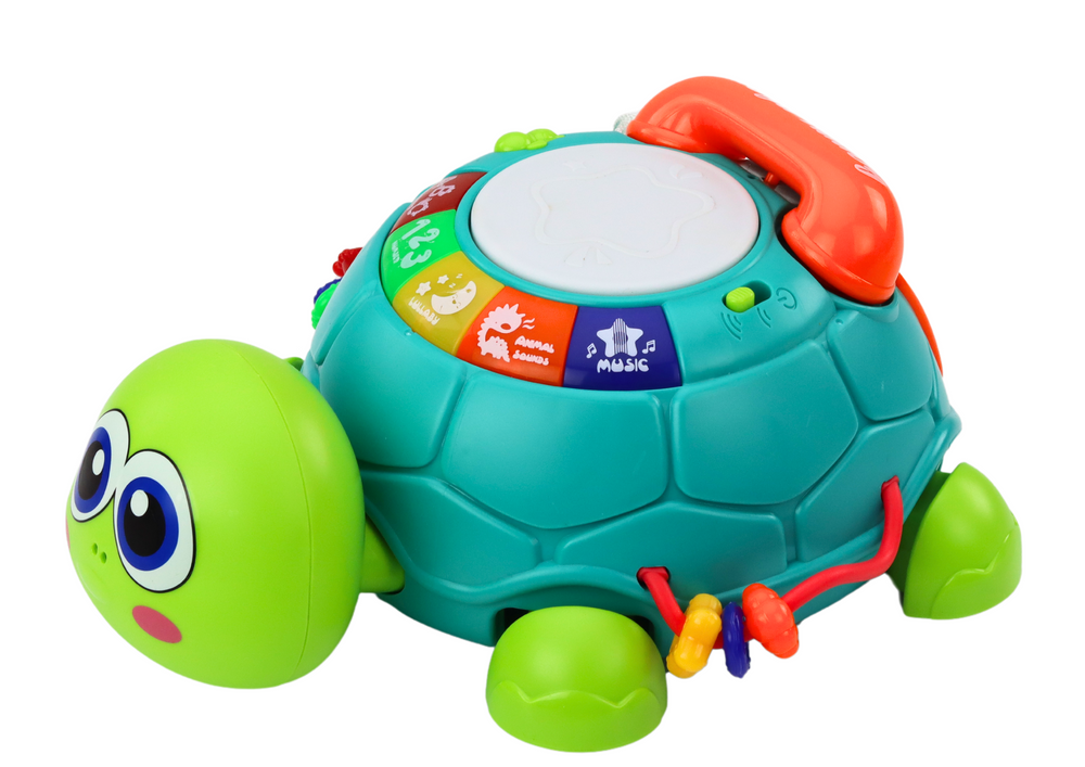 Interactive Educational Turtle Phone 6in1 Lights Sounds Green | Toys ...