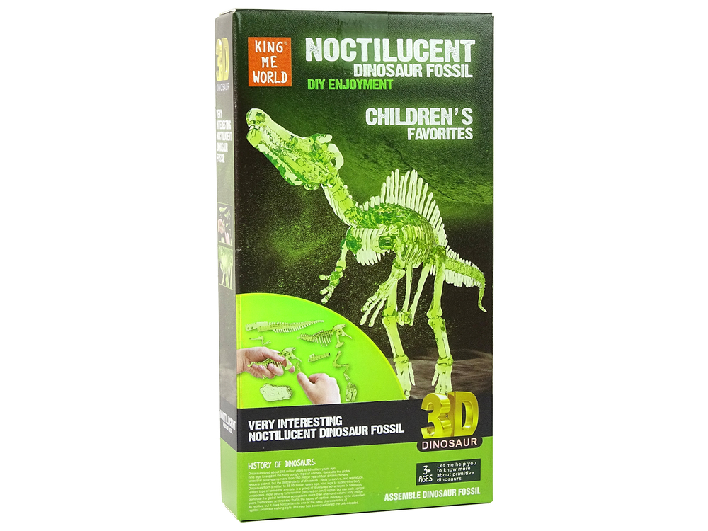 Luminous Assembleable Dinosaur Skeleton | Toys \ Figures |
