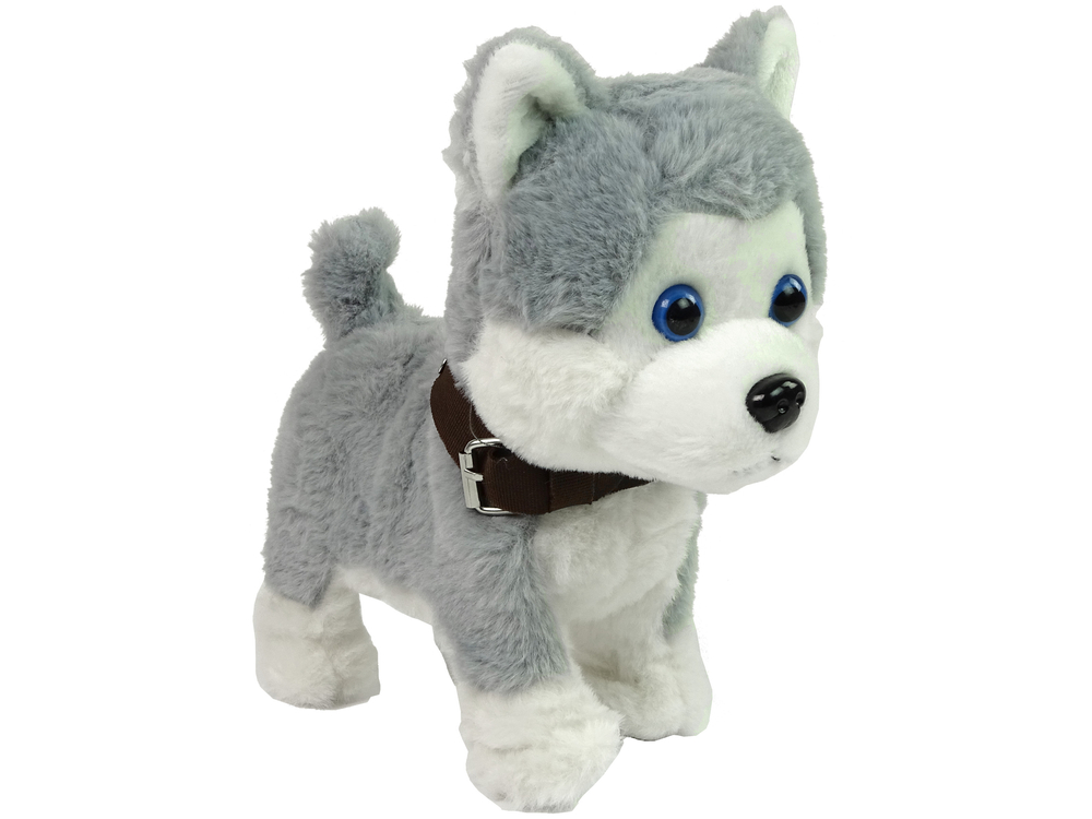 Stuffed deals animal leash