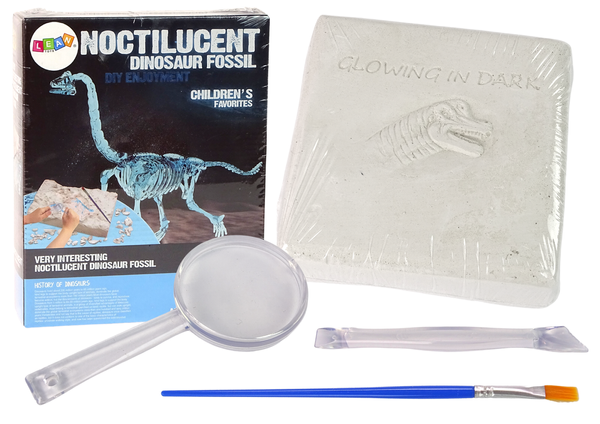 Archaeology Excavation Kit Dinosaur Skeleton 3D Brachiosaurus Hologram