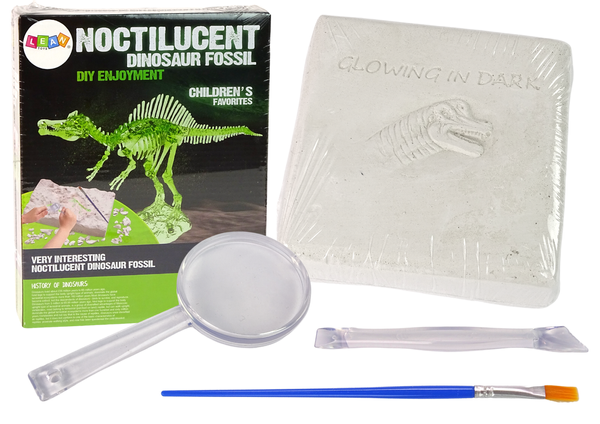 Archaeology Excavation Kit Dinosaur Skeleton 3D Hologram