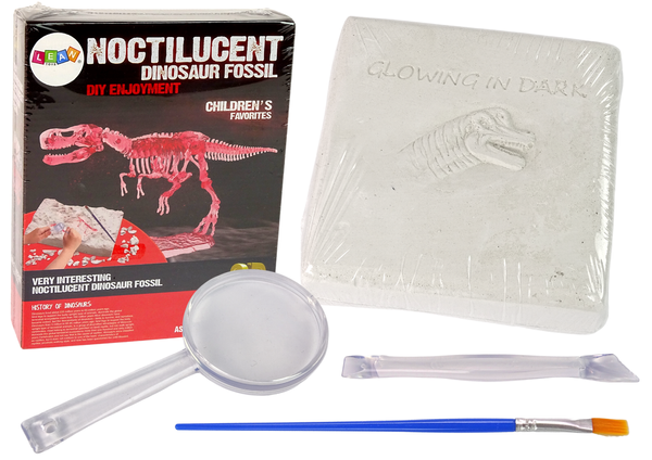 Archaeology Excavation Kit Dinosaur Skeleton 3D Tyrannosaurus Rex Hologram