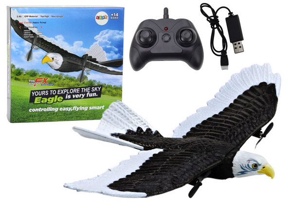 Eagle Bird Remote Controlled RC Plane 2.4G 41cm x 28cm x 5cm