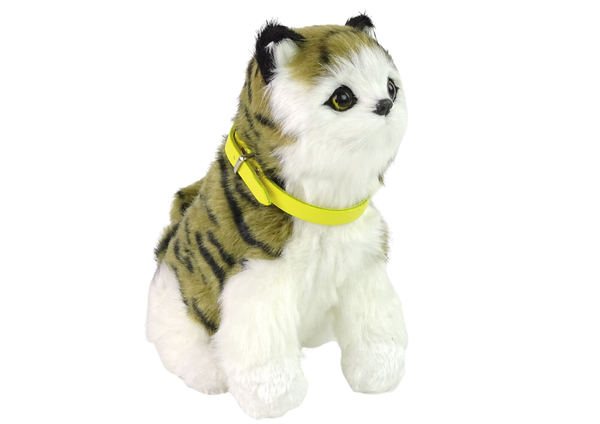 Interactive Plush Kitty Soft fur Stroke its head and learn its functions 