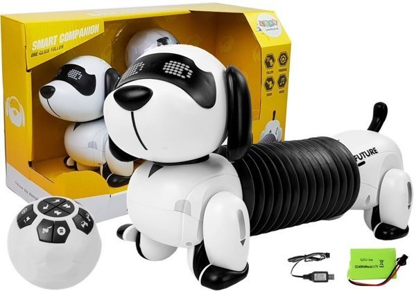 Interactive Robot Dog Remote Controlled Music Sound Remote Control Ball