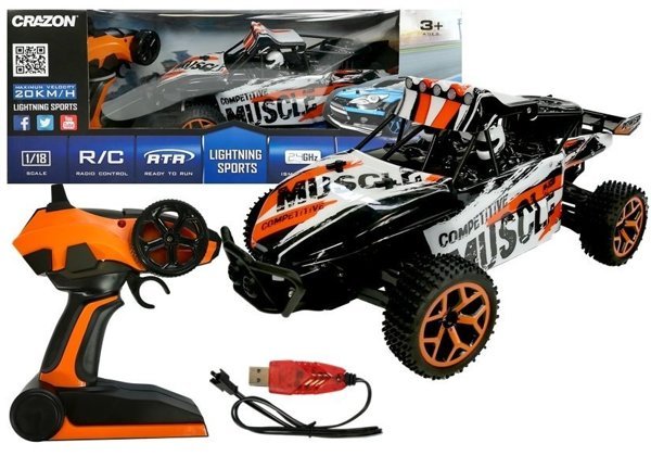 R/C Car Cadio Control 1:18 Buggy Car