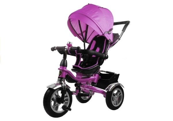 Tricycle Bike PRO600 - Violet