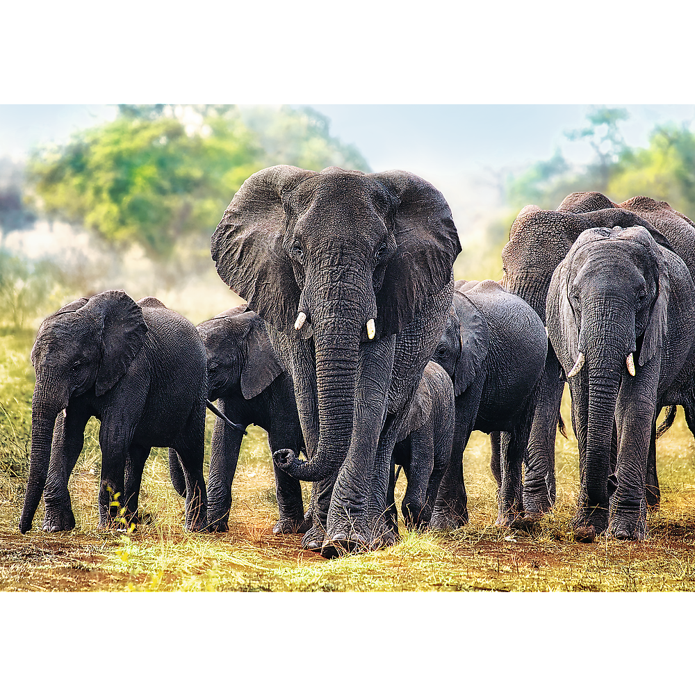 Spielzeug  Puzzles &amp; Geduldspiele