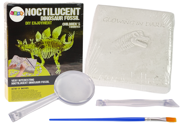 Archäologie Ausgrabungsset Dinosaurier Skelett Stegosaurus 3D Hologramm