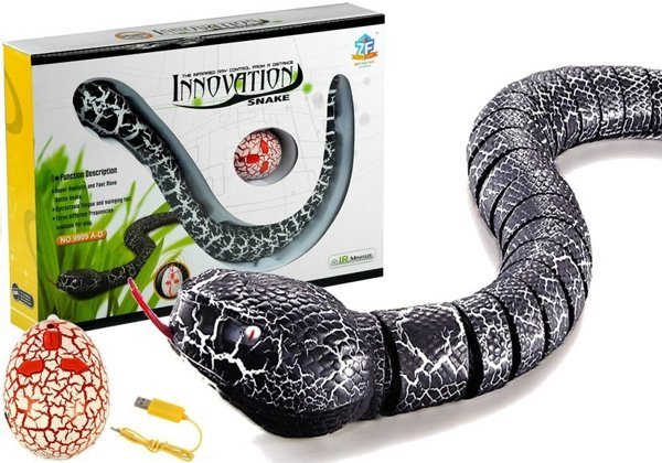 ferngesteuerte Schlange Fernbedienung Schwarz Set Spielzeug für Kinder 5+