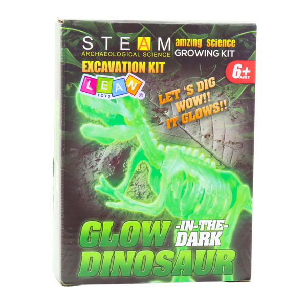 Archaeology Excavation Kit Fluorescent Skeleton Tools