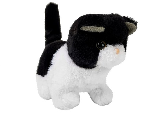 Black and White Cat Walks Wags Its Tail on Batteries