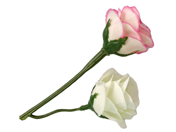 Emily doll with Rose Cat Long Hair