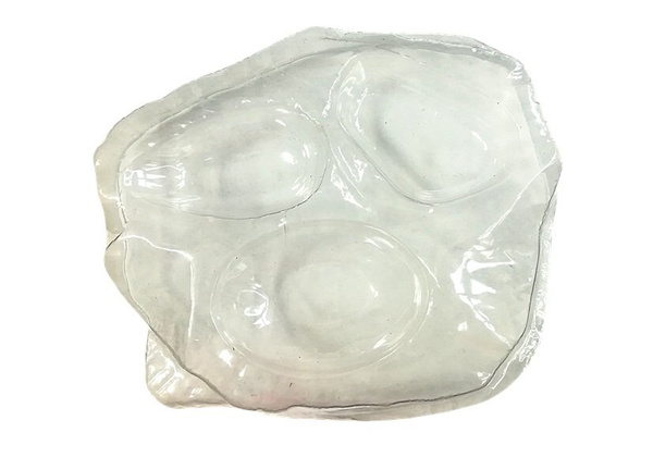 Prehistory Creative Set Create Amber Insects