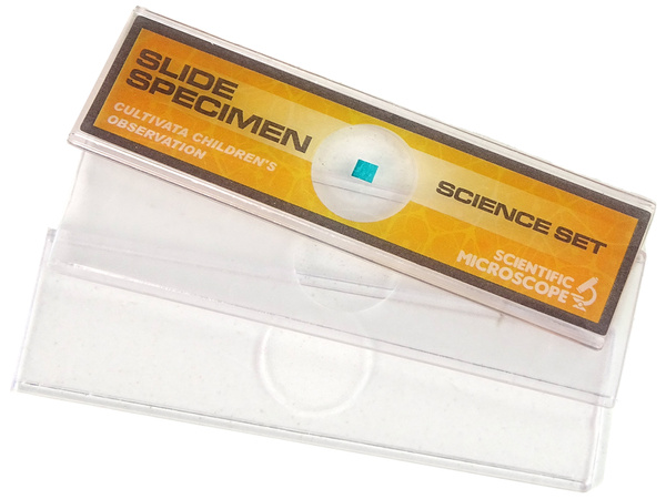 Children's Microscope Educational Set Yellow