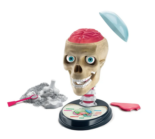 Scientific Fun Crazy Anatomy Kit Polish Language Clementoni 50697