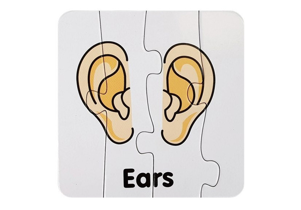 Educational Puzzle Body Parts Jigsaw Puzzle 10 English Connections