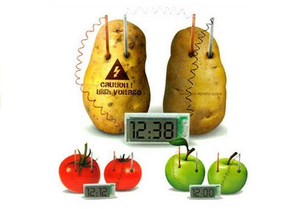 Potato Eco Clock Creative Science Experiment Set