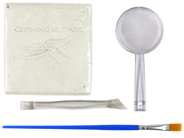 Archaeology Excavation Kit Dinosaur Skeleton Pteranodon 3D Hologram