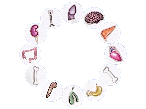 Crazy Doctor Operation Board Game