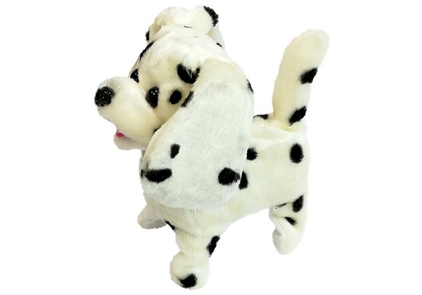 Dalmatian Dog Leash Controlled Pilot Bone