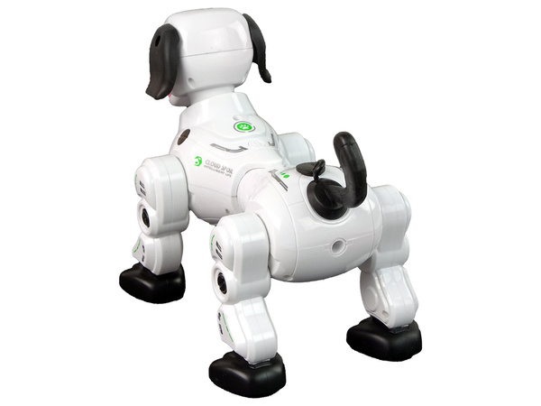 Interactive Remote Controlled Robot Doggy