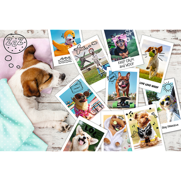 Puzzle - 300 - Zdjęcia z wakacji - Trefl 23003