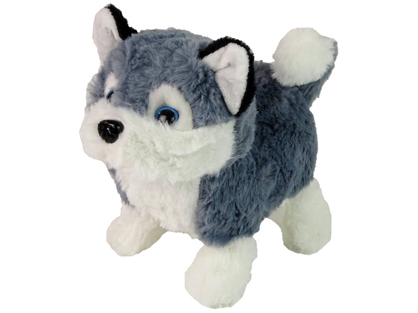 Interactive Husky Dog Mascot Walks Moves Tail Sound