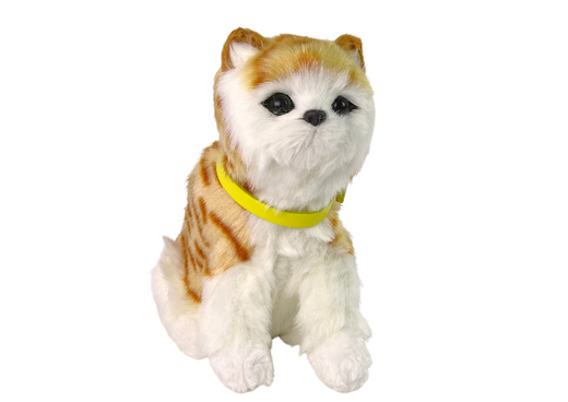 Interactive Plush Kitty Soft fur Stroke its head and learn its functions