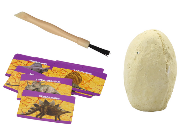 Archaeological Excavation Set Dinosaurs Eggs Cards 12 Pieces