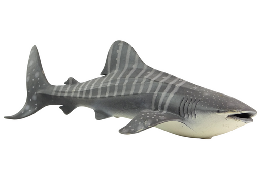 Large Whale Shark Collector's Figurine World The Sea