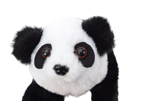 Interactive Plush Panda In Pink Blue Transporter