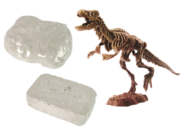 Archäologie 2-in-1 Dinosaurier-Skelett Tyrannosaurus Set