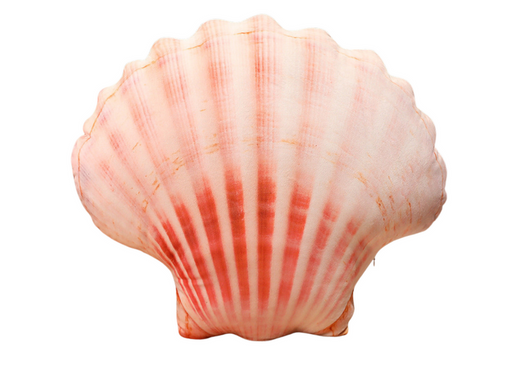 Maskottchen-Plüschschalenkissen 50 x 40 cm