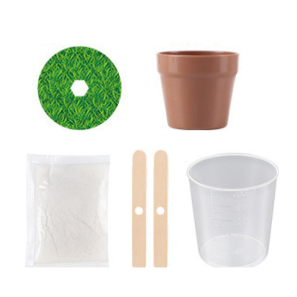 Crystal Growing Magic Crystal Tree Educational Experiment