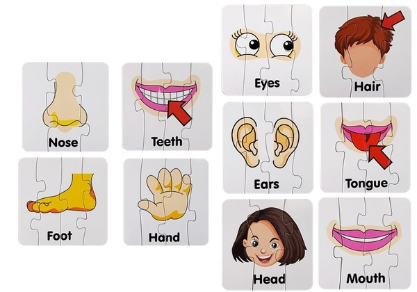 Educational Puzzle Body Parts Jigsaw Puzzle 10 English Connections