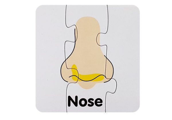 Educational Puzzle Body Parts Jigsaw Puzzle 10 English Connections