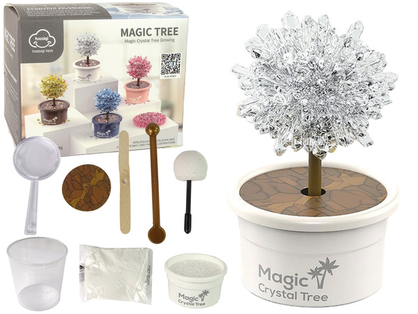 Magic Tree Crystal Growing Silver Experiences