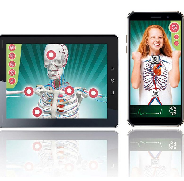 Science Fun Super Anatomy Polish Language Clementoni 50919