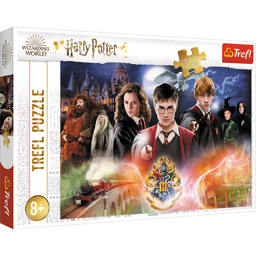 Harry Potter Puzzle 300 Teile. Geheimnisvoller Harry Potter 23001