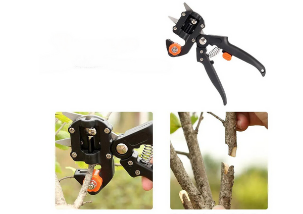 Tree budding grafting pruner set with case