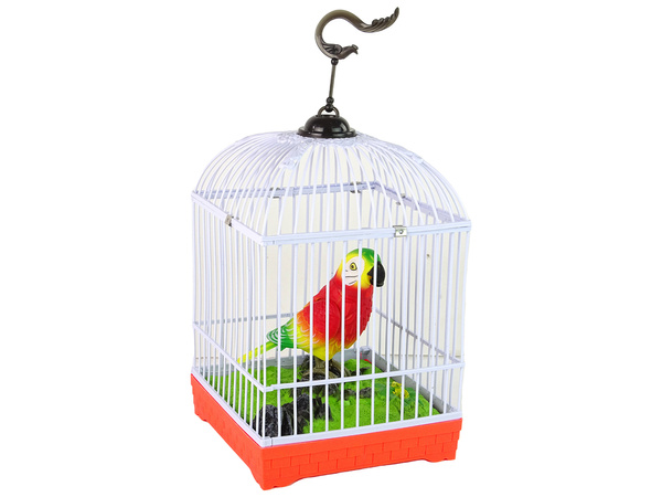 Colorful parrot with a cage