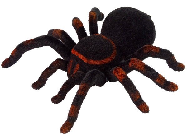 Remote Controlled Tarantula Black R/C Spider