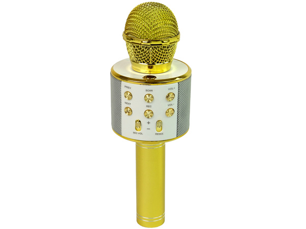 Wireless Microphone USB Speaker Karaoke Recording Model WS-858 Gold